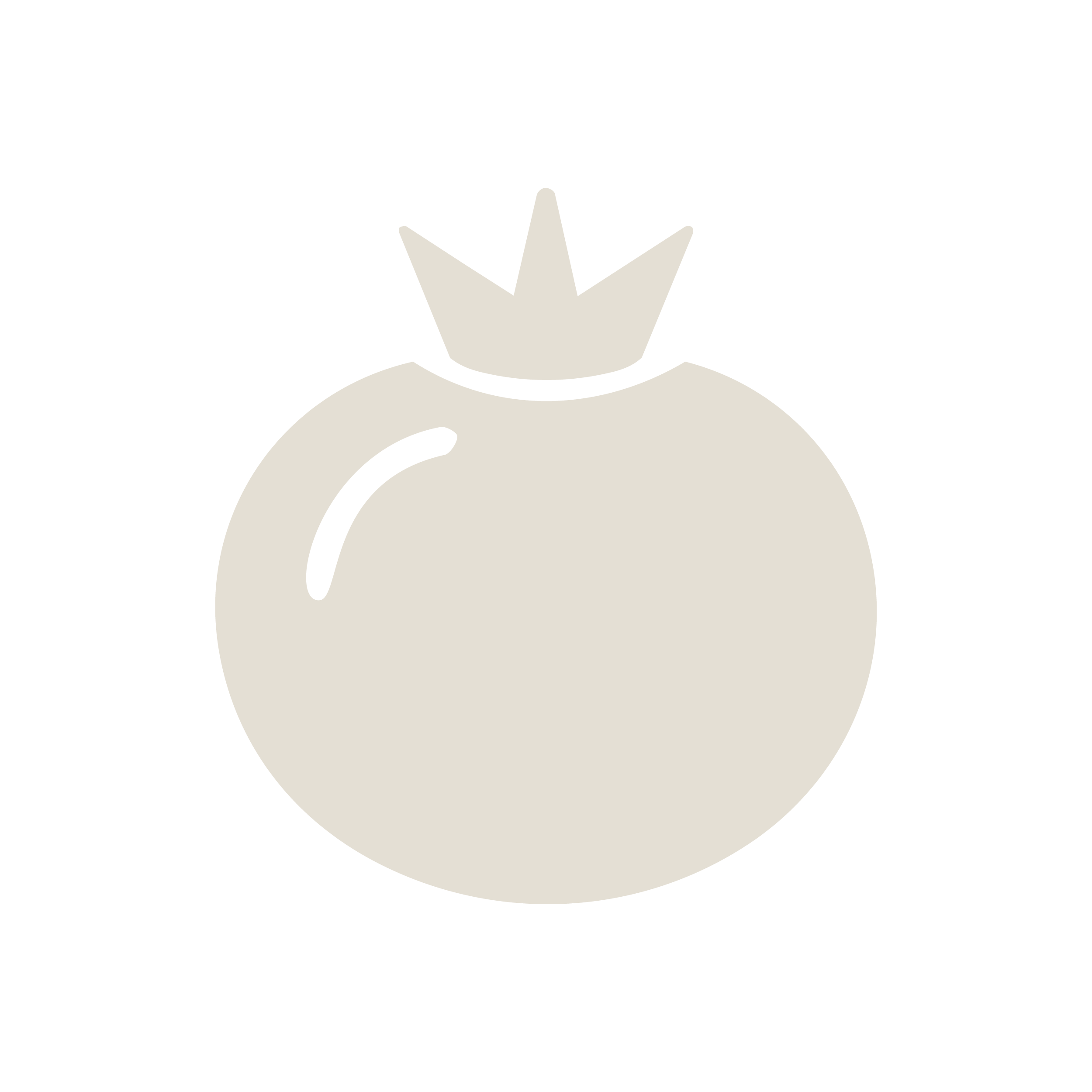 Tomato King